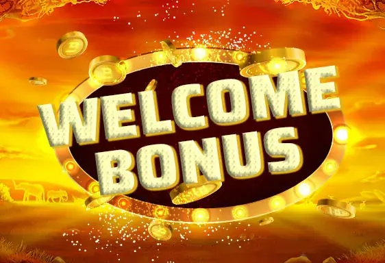 Wild Fortune Neukundenbonus